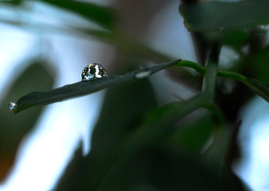 _DSC1022 edited small file