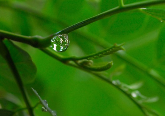 _DSC1027 edited small file