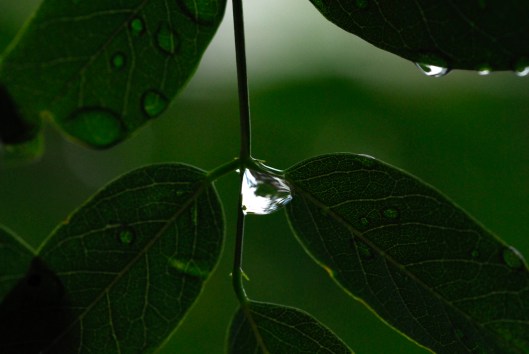 _DSC1035 edited small file